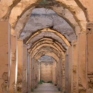 Scopri di più sull'articolo 20 Cose da fare e vedere a Meknes e dintorni