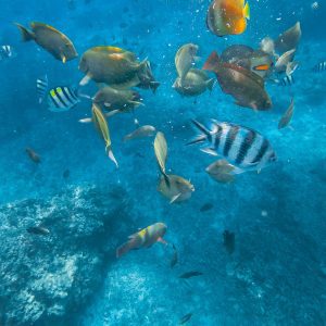 Scopri di più sull'articolo Cosa vedere e fare alle Gili Air